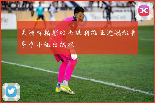 美洲杯精彩对决玻利维亚迎战秘鲁争夺小组出线权