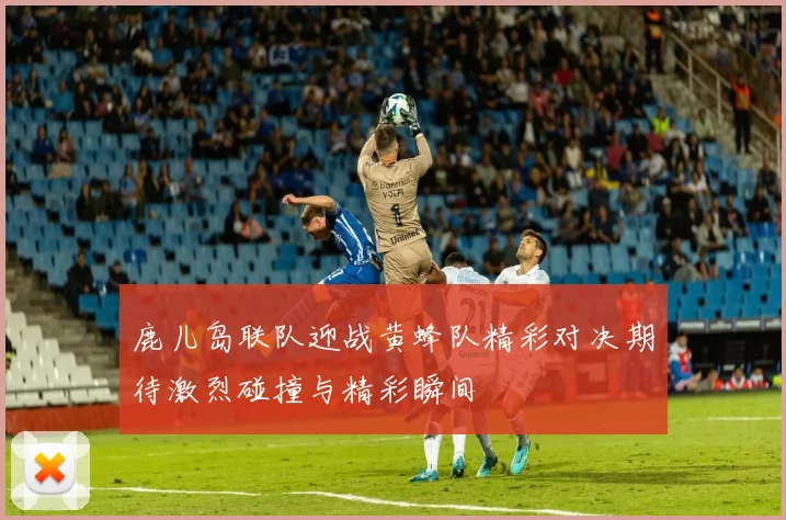 鹿儿岛联队迎战黄蜂队精彩对决期待激烈碰撞与精彩瞬间