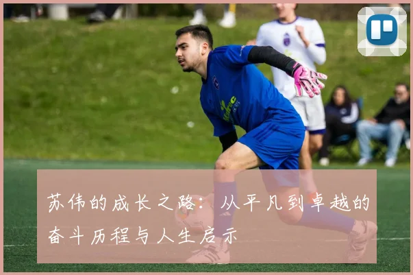 苏伟的成长之路：从平凡到卓越的奋斗历程与人生启示