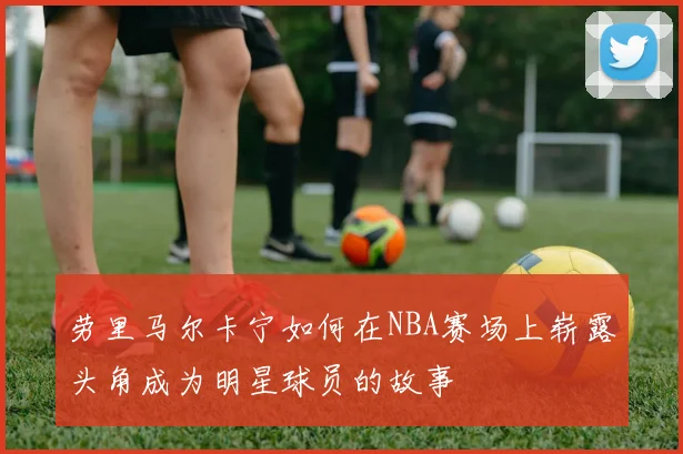 劳里马尔卡宁如何在NBA赛场上崭露头角成为明星球员的故事