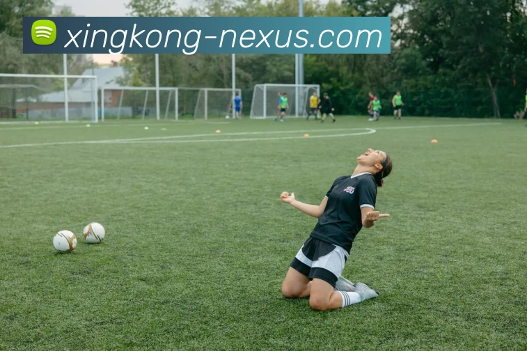 星空体育平台生态图